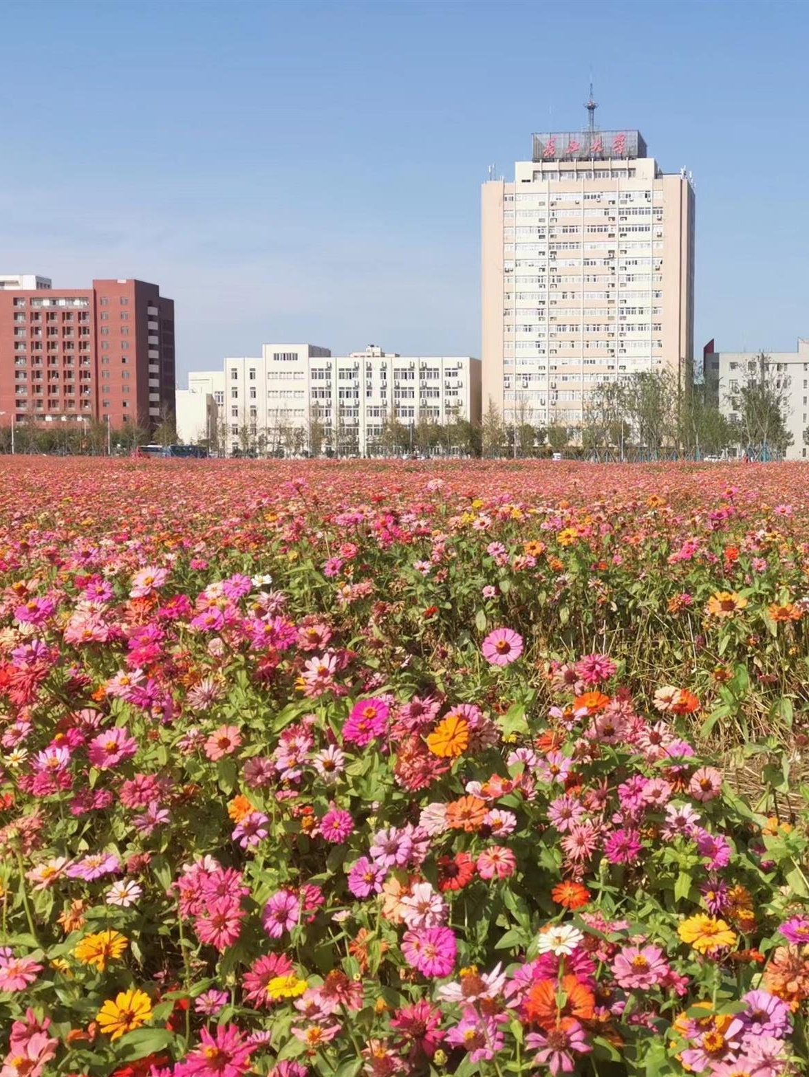 长江大学园艺园林图片