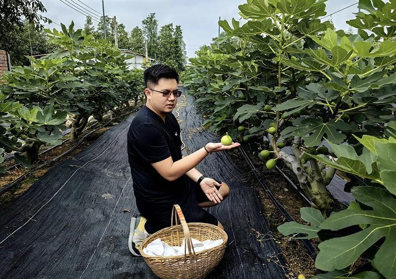 乡村振兴青春力量|张君浩:用互联网思维卖水果