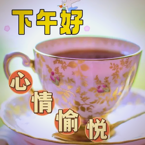 下午好温馨问候,传递无尽祝福与温暖