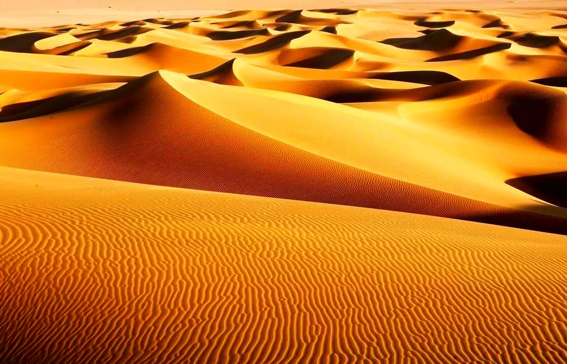 从风沙地貌到沙漠景观:全球沙漠化的深入解析