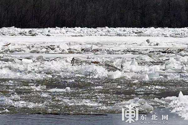 乌苏里江珍宝岛段迎来"武开江"