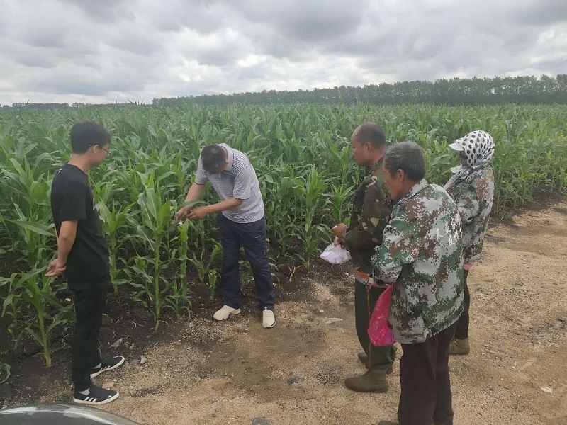 二九一农场无公害防治 打造绿色田园助农增收