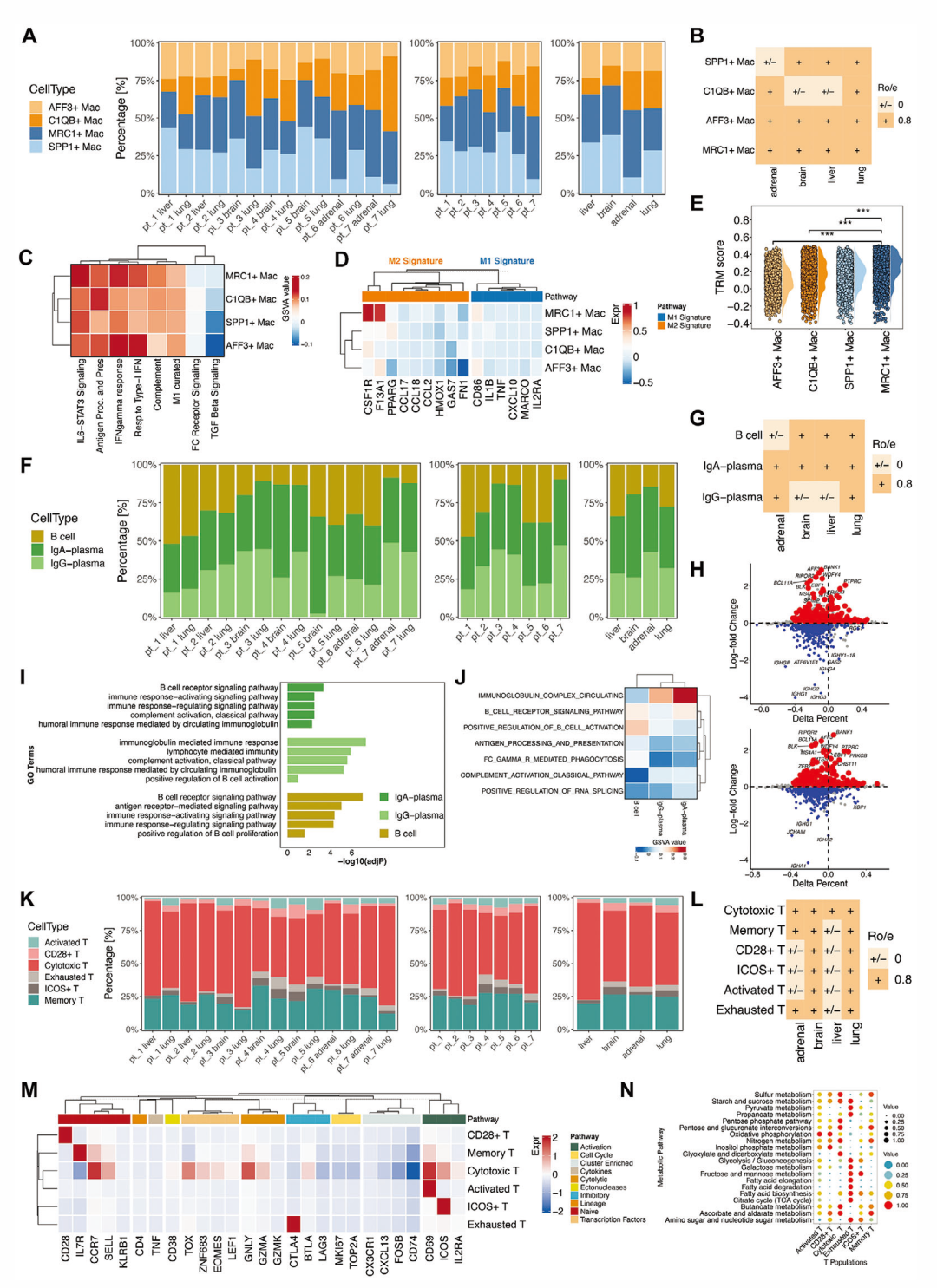 advanced science丨科研人员利用vita平台揭示肺腺癌器官特异性肿瘤微
