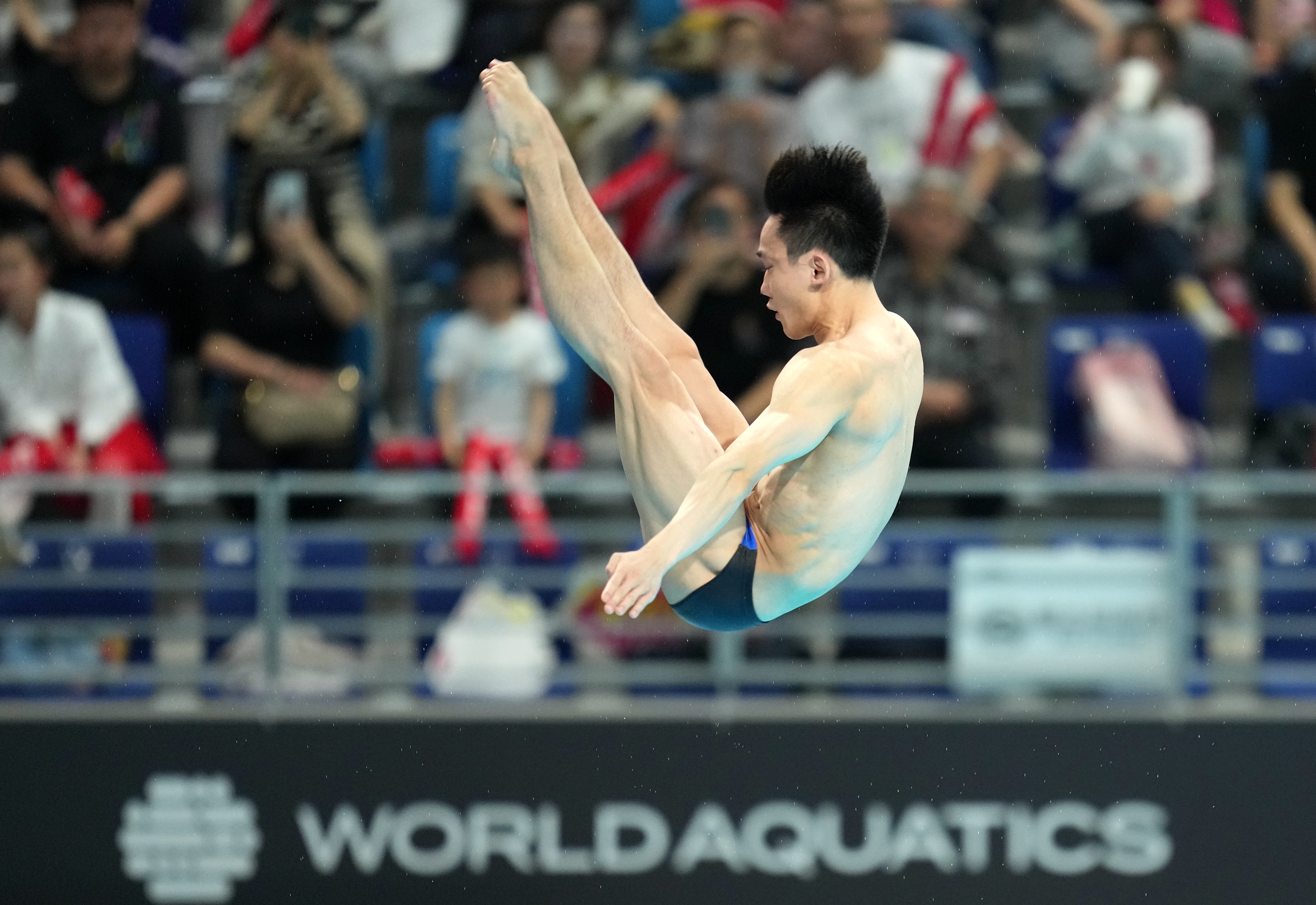 男跳水运动员杨昊跳水图片