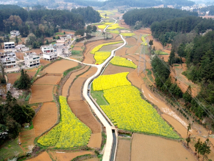 「万象"耕"新不负春」黔西市雨朵镇:粮田变良田 产业齐开花
