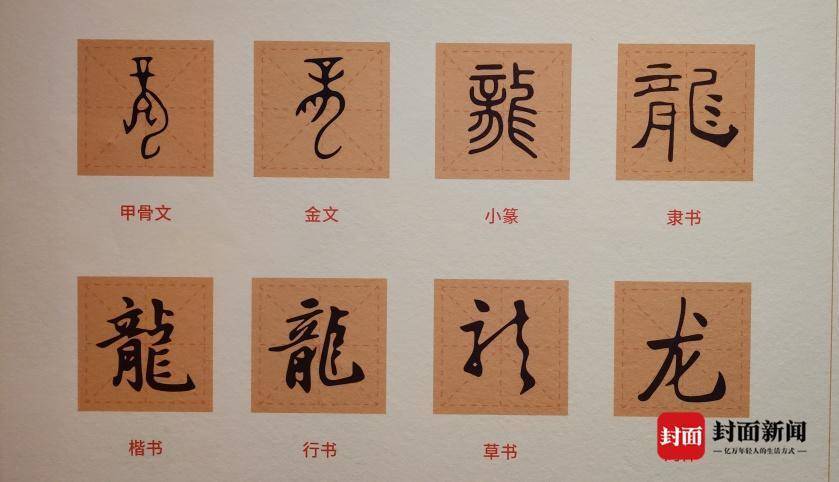 解"龙"字:龍是怎样变成龙的?