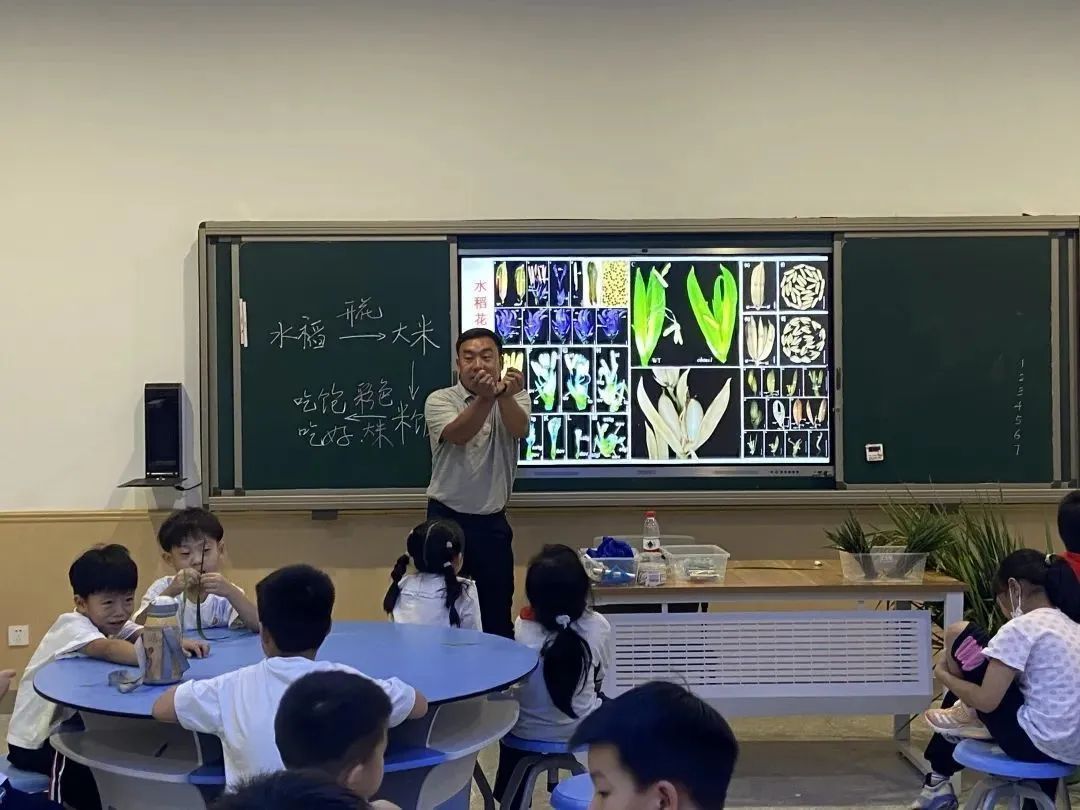 聚焦科技创新 专注核心素养 求是富春九小:让科学家精神浸润学生童年