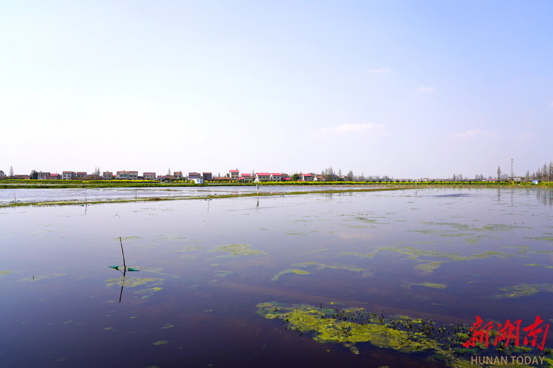 四季红镇:移民小镇兴产业文化铸魂续新篇