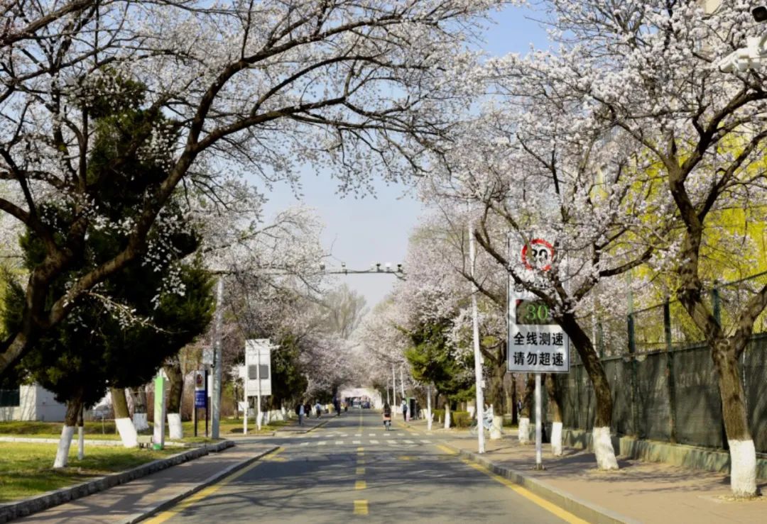 吉林大学南岭校区大虾图片