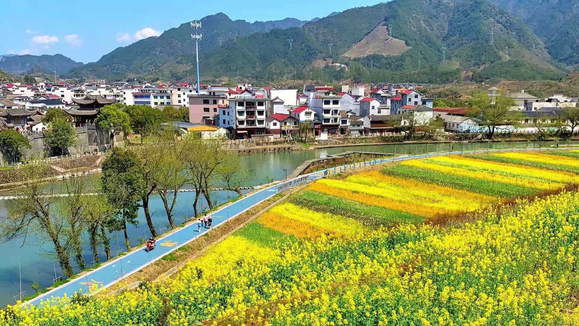 武义柳城:废弃矿山披盛装变身七彩梯田花海