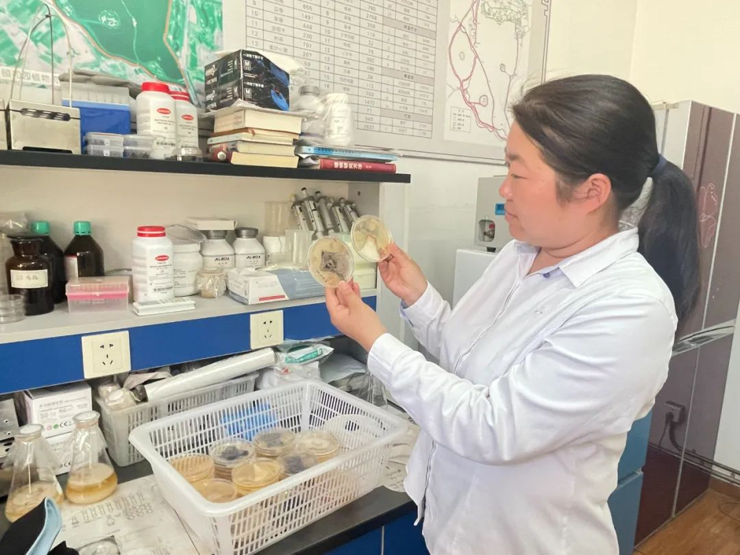 家国情·奋斗正当时丨王爽:颐和园里最会"捉虫"的博士