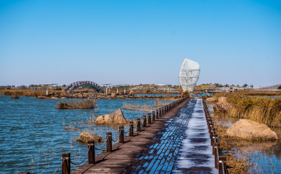 巨淀湖湿地公园图片