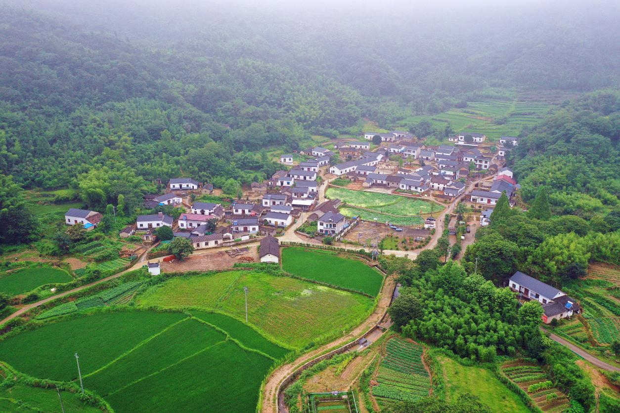 黄山新丰乡:画卷里的宜居田园