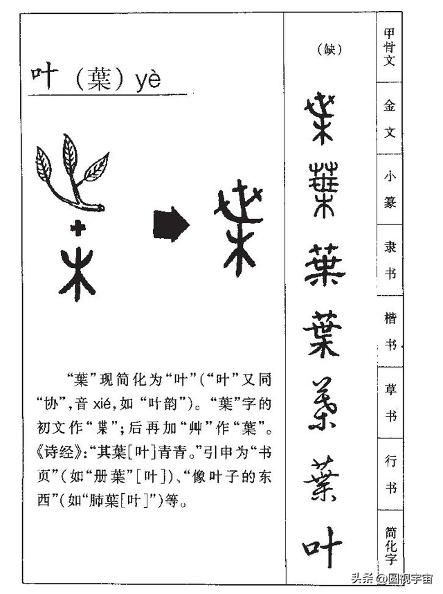 第41-50名:葉蔣杜蘇魏程 呂丁沈任,中國四百姓氏圖騰及漢字演變