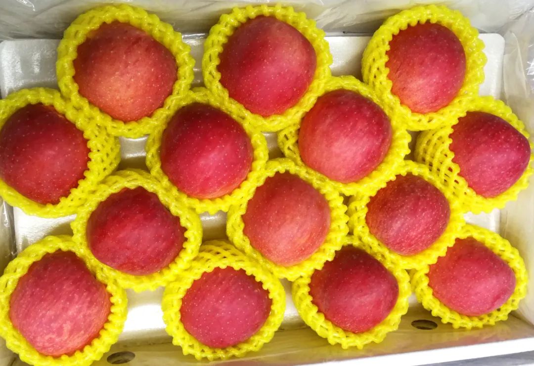 消费促发展|来自北纬37度的洛川苹果