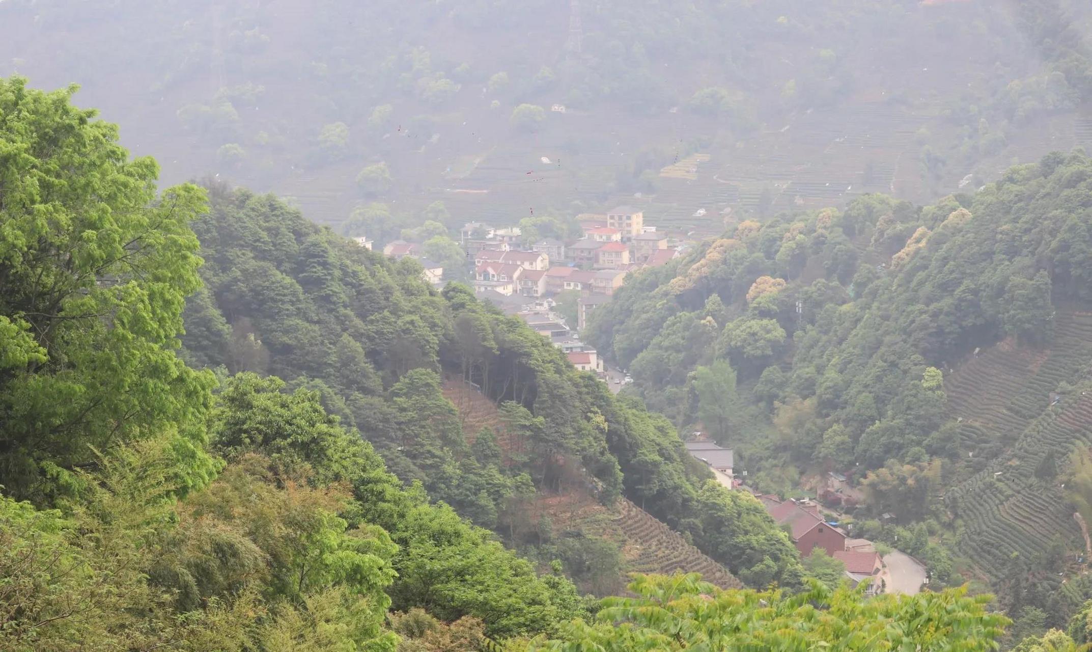金莲寺,位于杭州西湖区转塘街道龙坞乡龙门坎村(小和山),寺院东南为