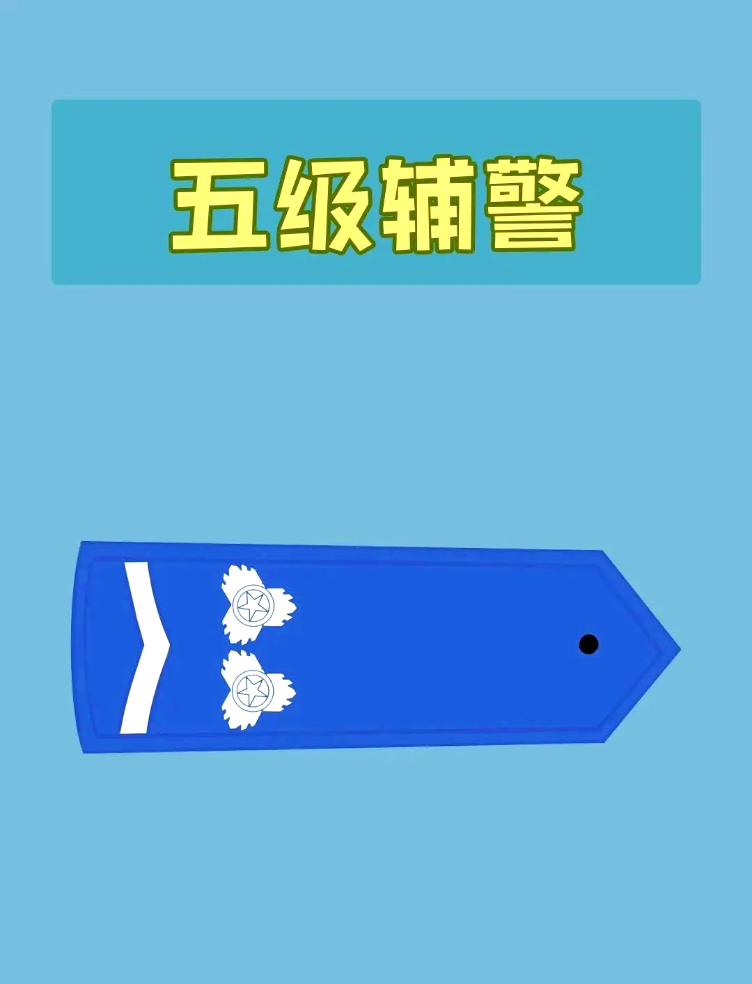 多地区辅警肩章标识更新,呈现层级差异