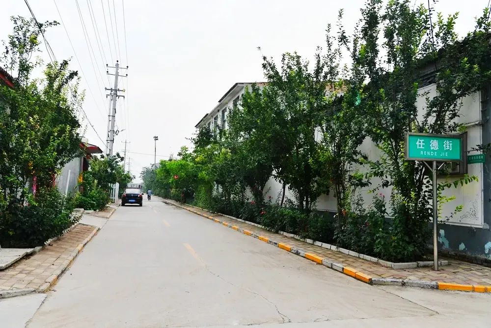 栾城这个村荣获省级荣誉称号!快看看是不是你们村