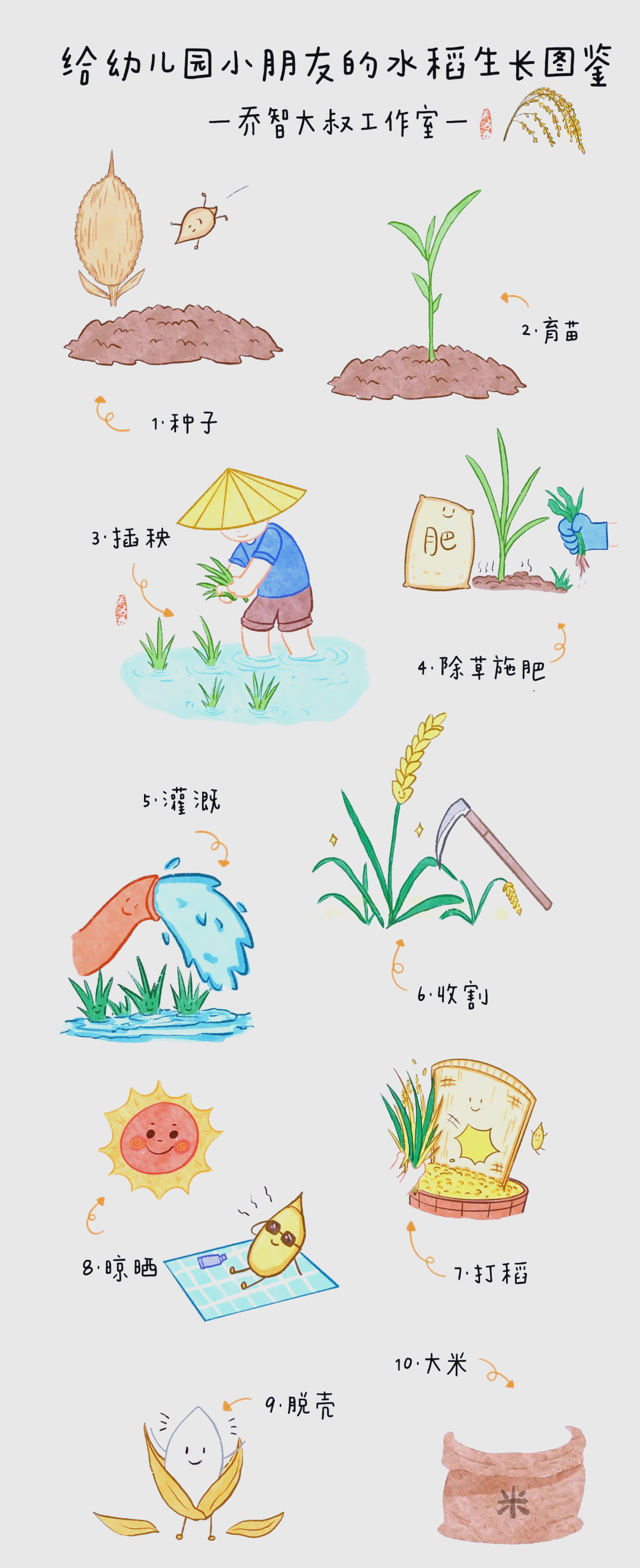 水稻生长全攻略:从播种到收割的艰辛历程