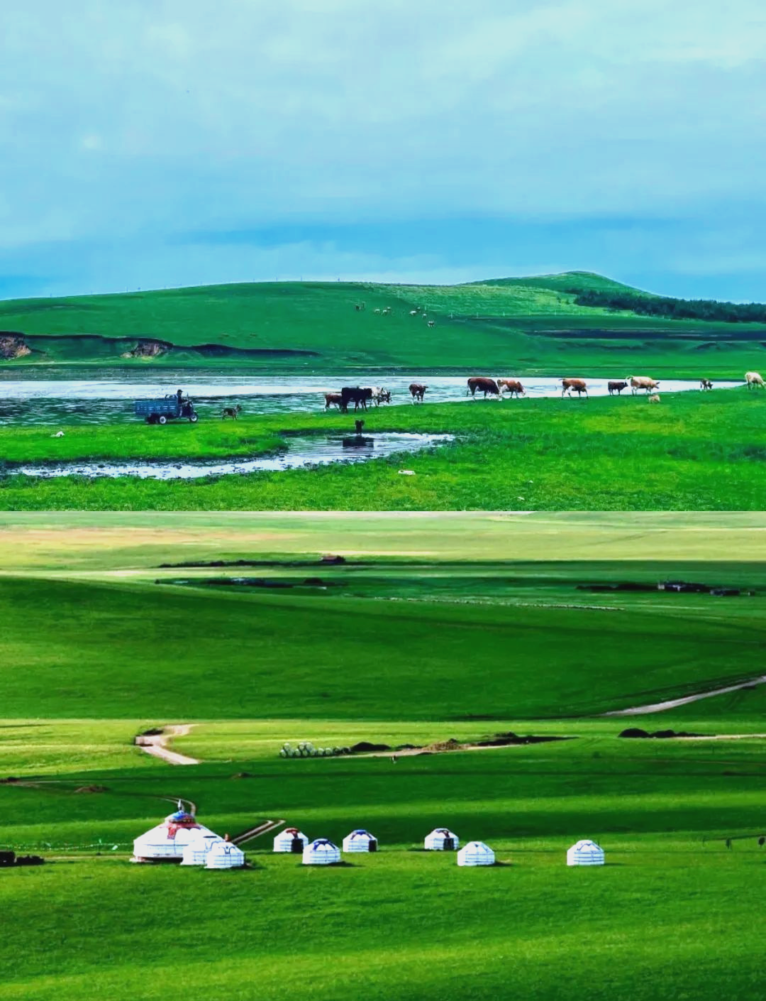 北京出发,丰宁坝上草原两日游,尽享骑马乐趣与自然美景