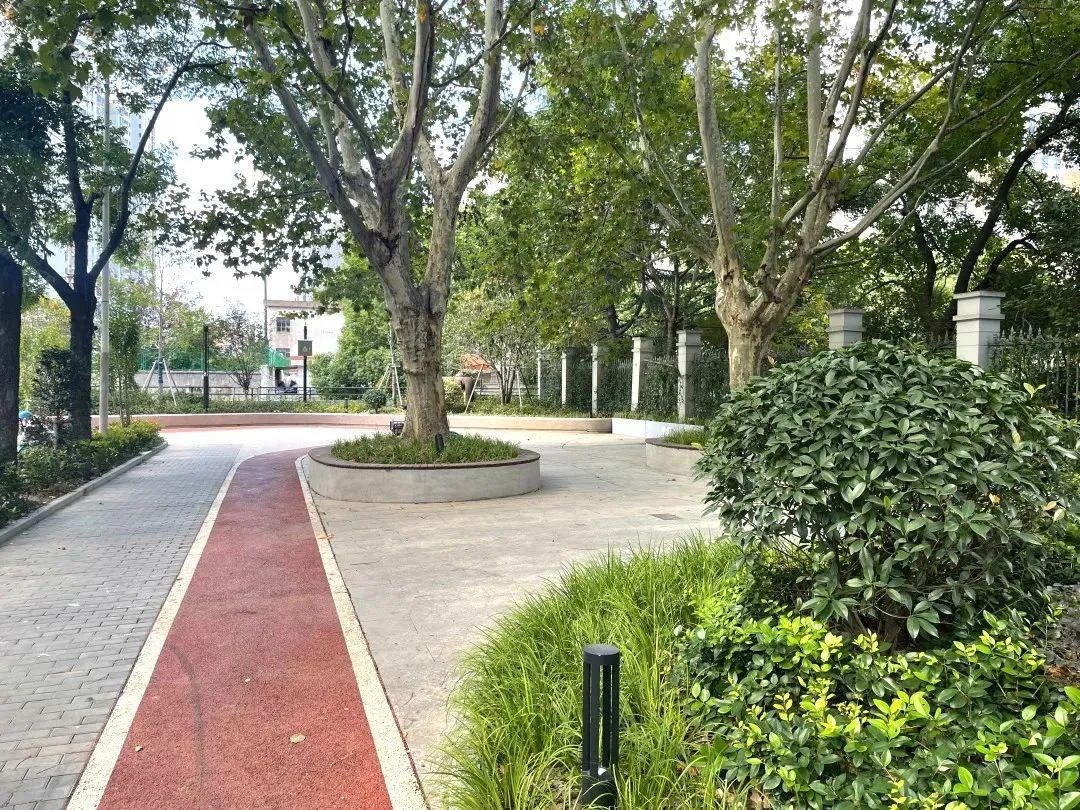 广中北宝兴路街区完成改造展新颜～变身生活"舒适圈"