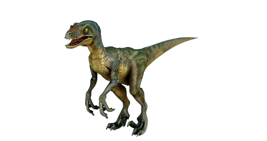 这种恐龙属于蜥臀目兽脚亚目驰龙科,大约生活在8,300万至7,000万年前