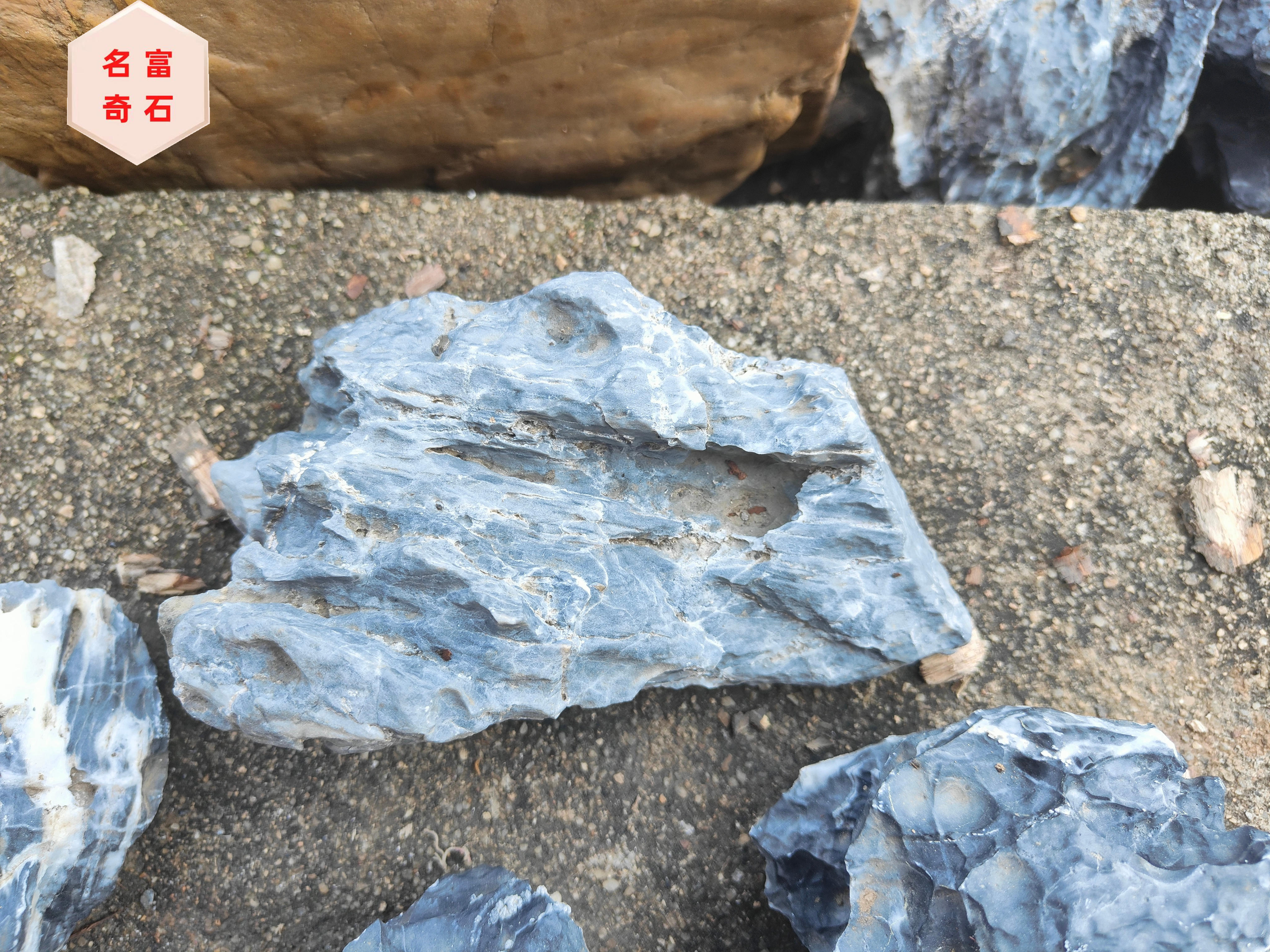 广东英德石-峰石-青龙石石场-青龙石价格多少