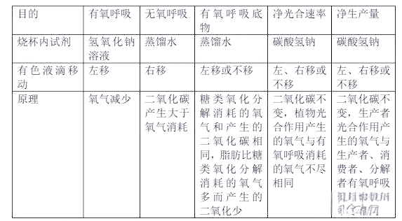 高一生物易错点!光合作用+呼吸作用,汇总的简单介绍 高一生物易错点!光合作用+呼吸作用,汇总的简单介绍