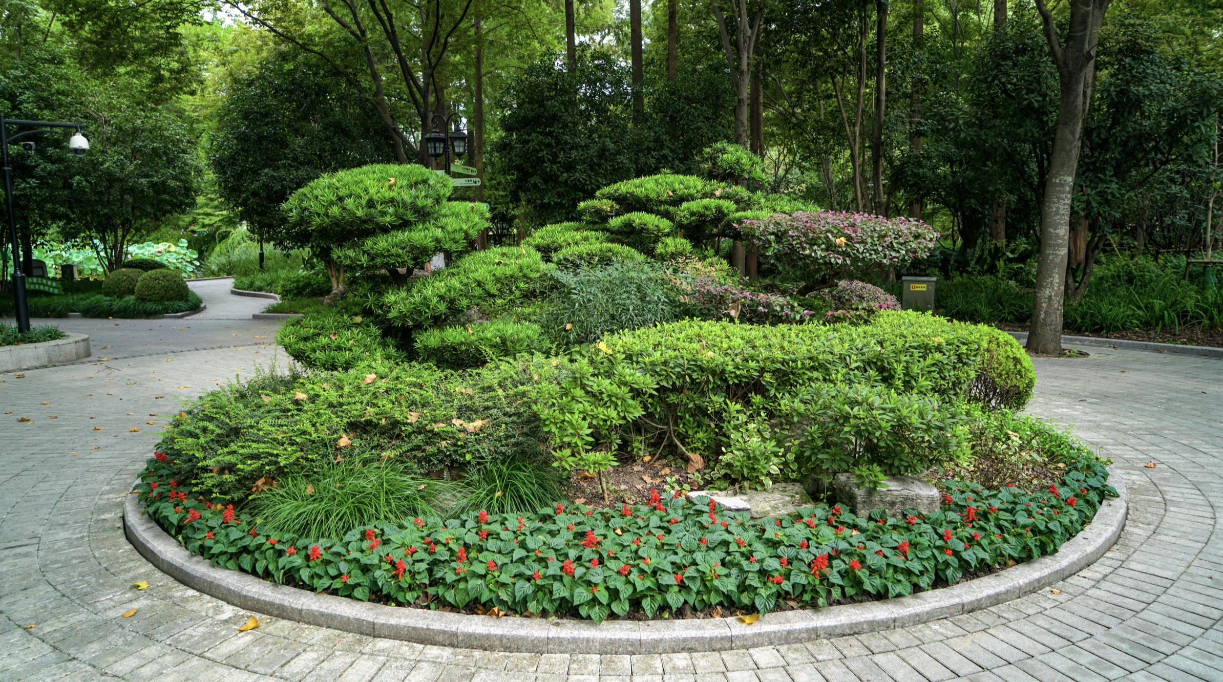 国庆逛公园系列——复兴公园