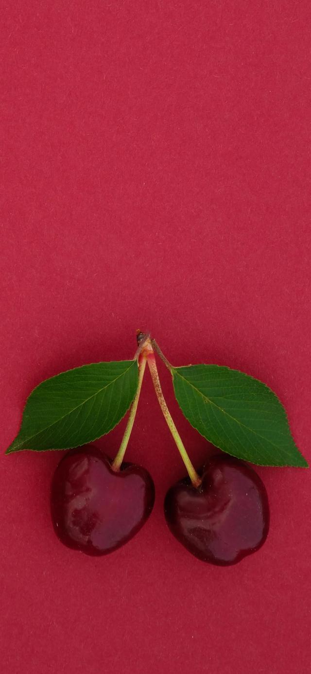 红红的车厘子壁纸,好想吃啊