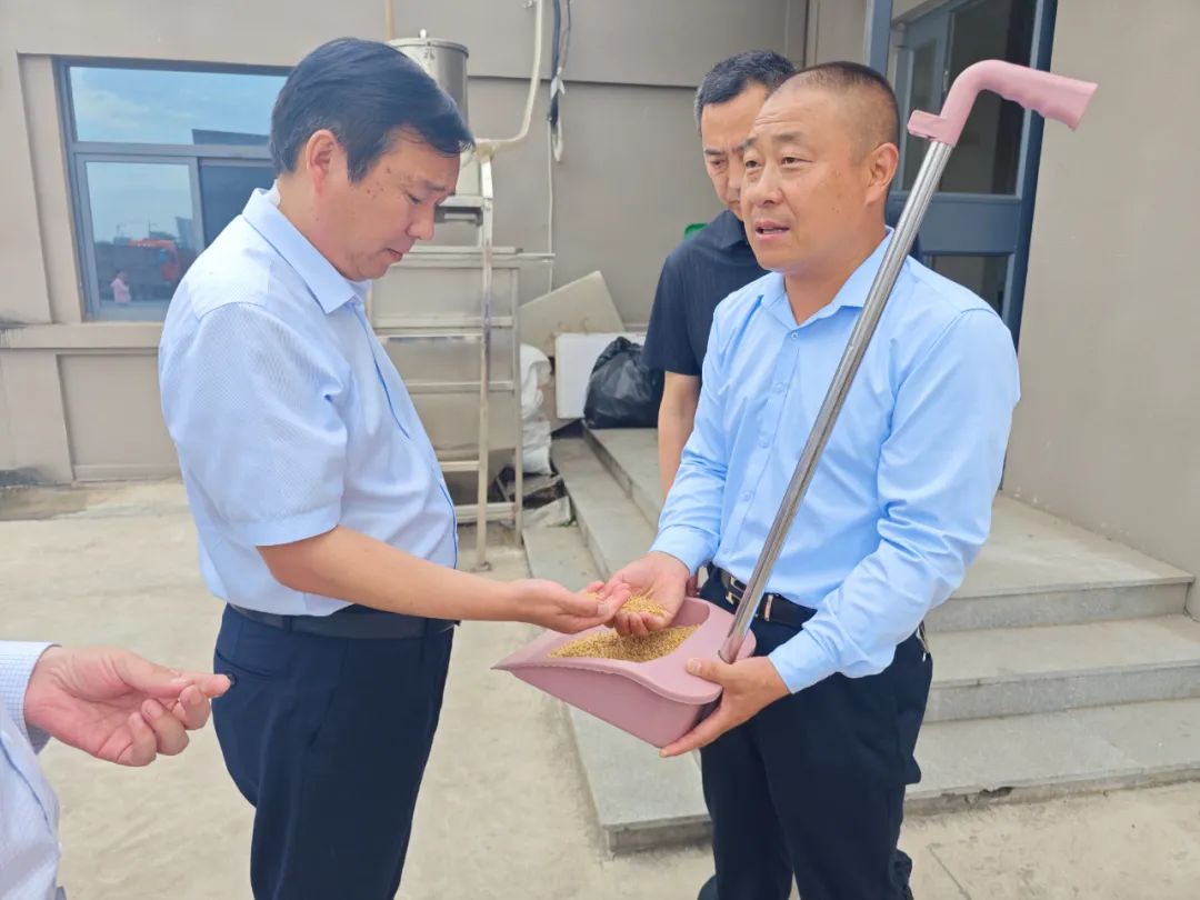 县委书记艾进德调研三夏生产工作