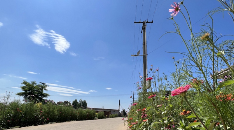 卢龙县木井镇四方面着手打好人居环境整治组合拳