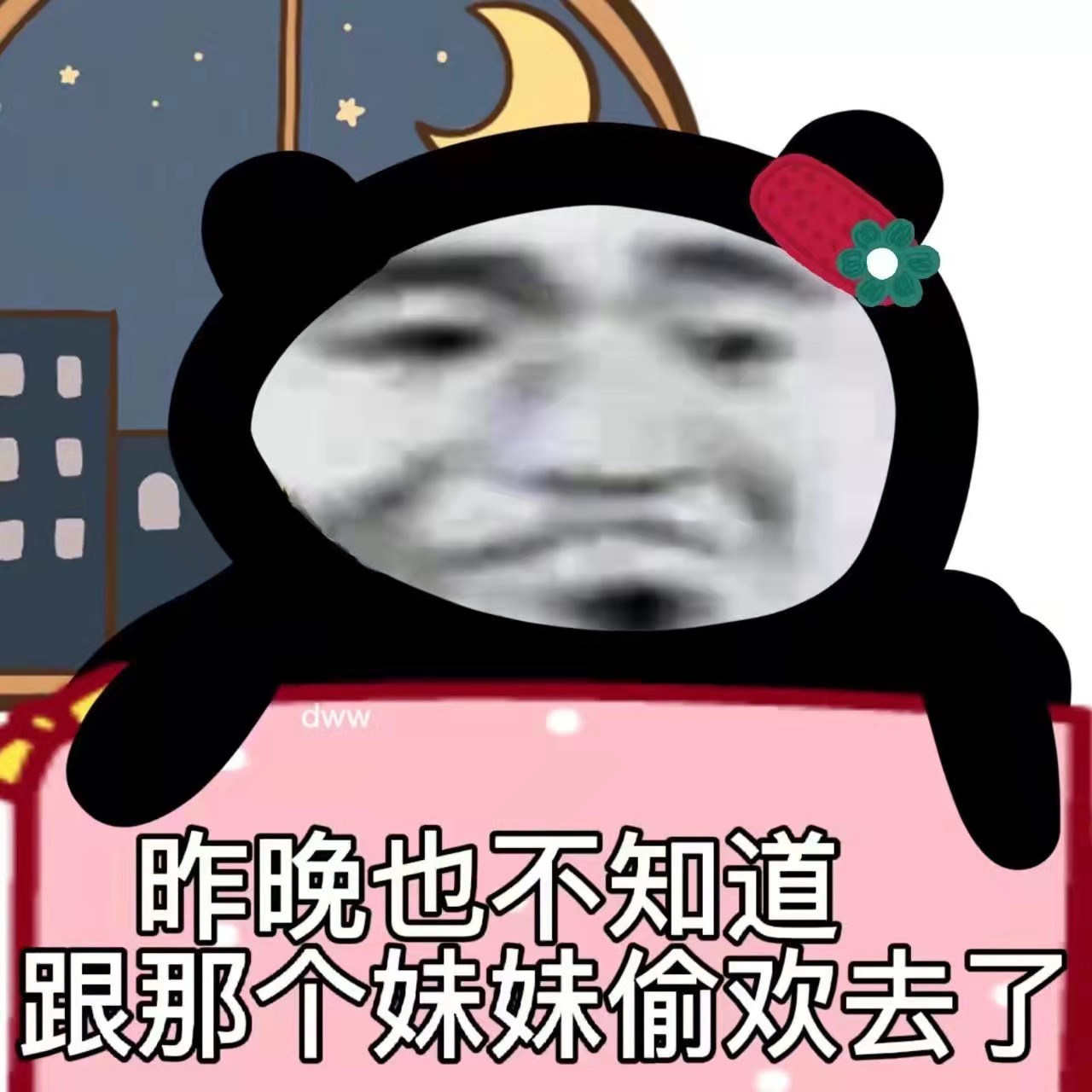 熊貓表情包合集