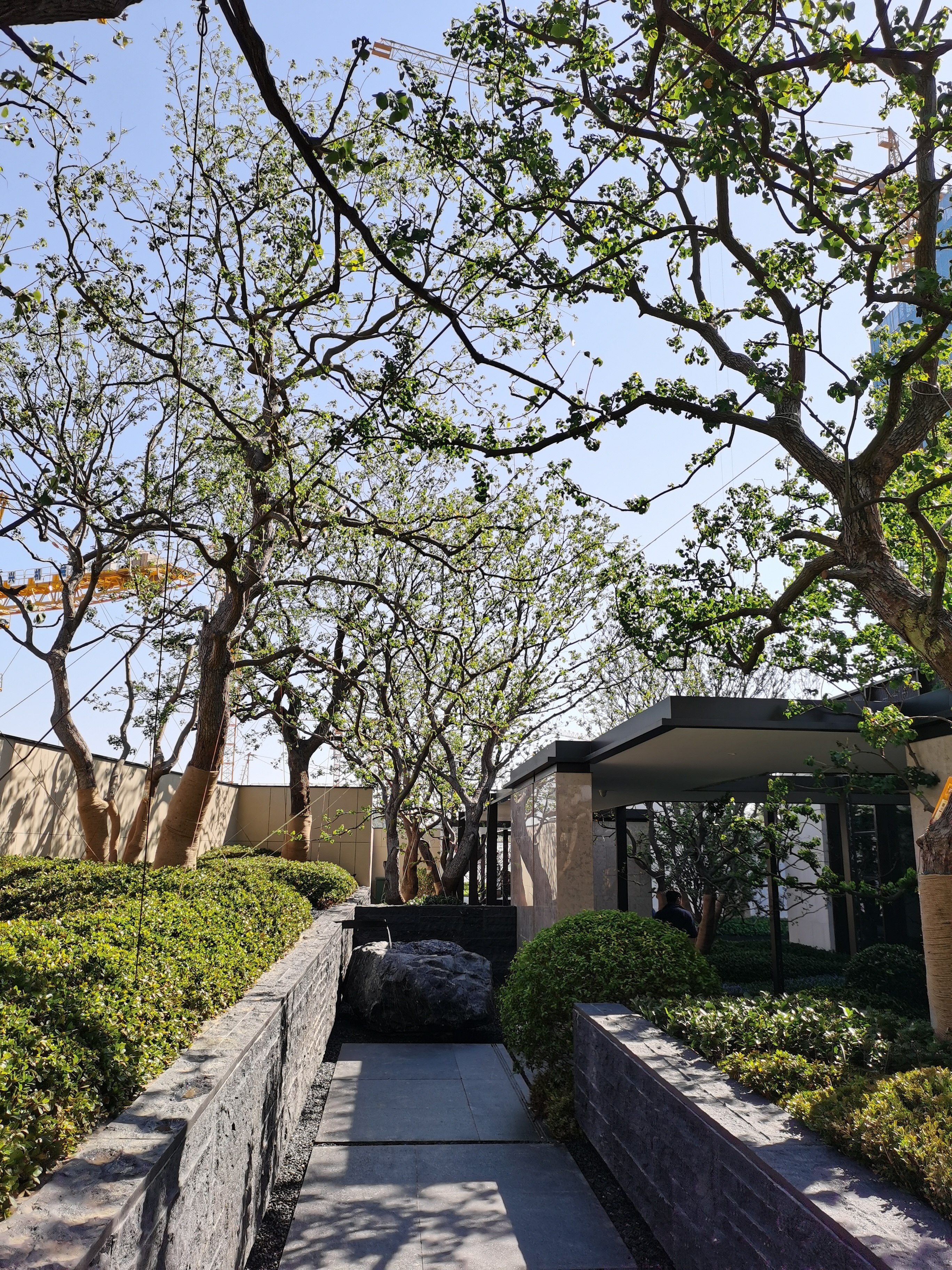 金基璟樾府报名结果出炉