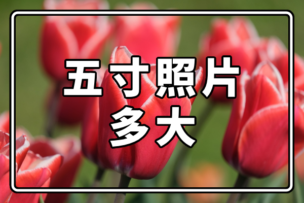 五寸照片多大?5寸照片尺寸大小分享