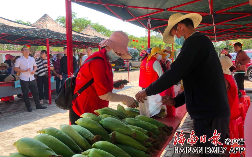 昌江石碌镇尖岭村开展消费助农活动 扩宽群众增收渠道