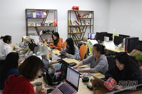云南省青创园助力打造特色"三张牌"