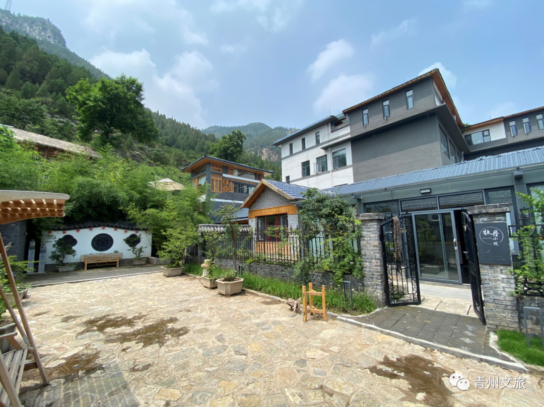 美丽青州乡村行|杨集村,邂逅诗与远方