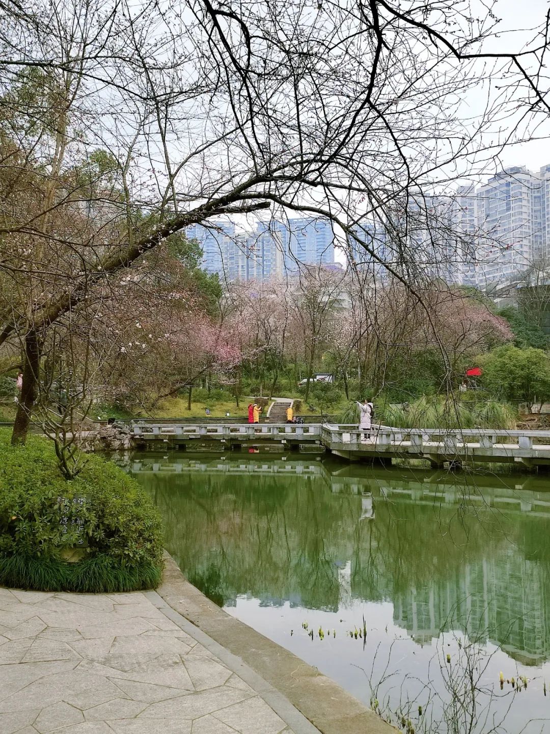 藏在长沙的小众公园真是春日遛娃高颜值