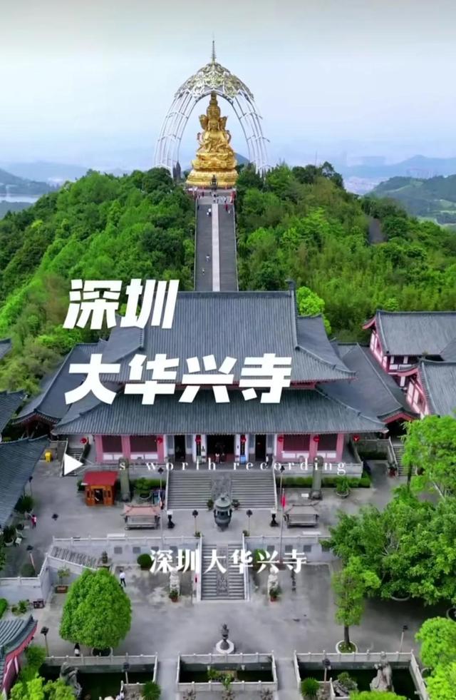 探寻深圳的佛教文化——大华兴寺之旅