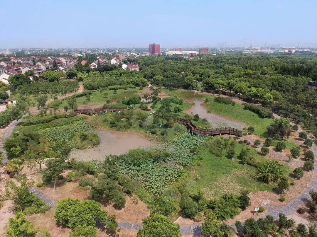 工业区)陆生野生动物收容救助点马桥镇城市建设管理事务中心联系人:周