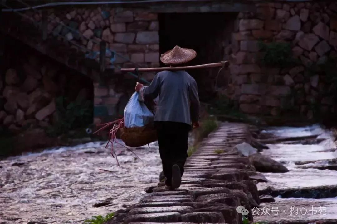 西凤唐韵酒50度浓香型图片