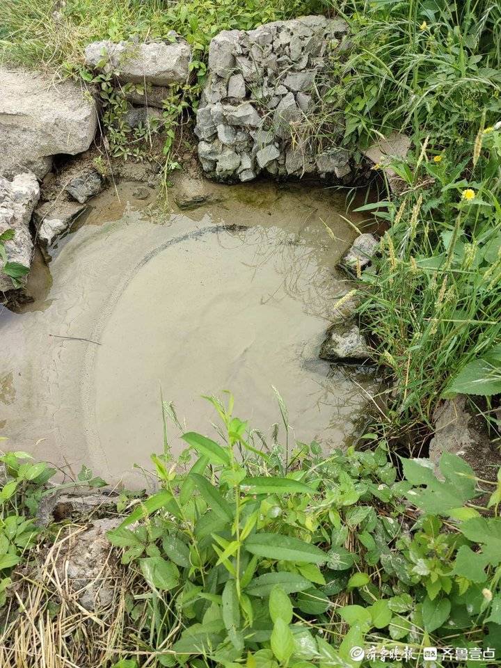 济南的新七十二名泉中的白泉