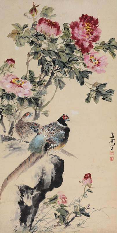 王雪涛先生画的锦鸡和牡丹图