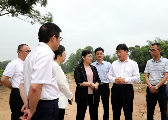 玉林市中级人民法院胡海兰院长到博白县调研新法庭选址建设工作