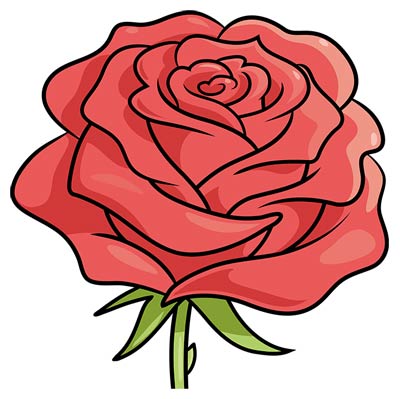 玫瑰花简笔画 2023跨年送给喜欢的女生