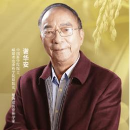 院士观点 谢华安院士:保障种源自主可控,守护农业的中国"芯"