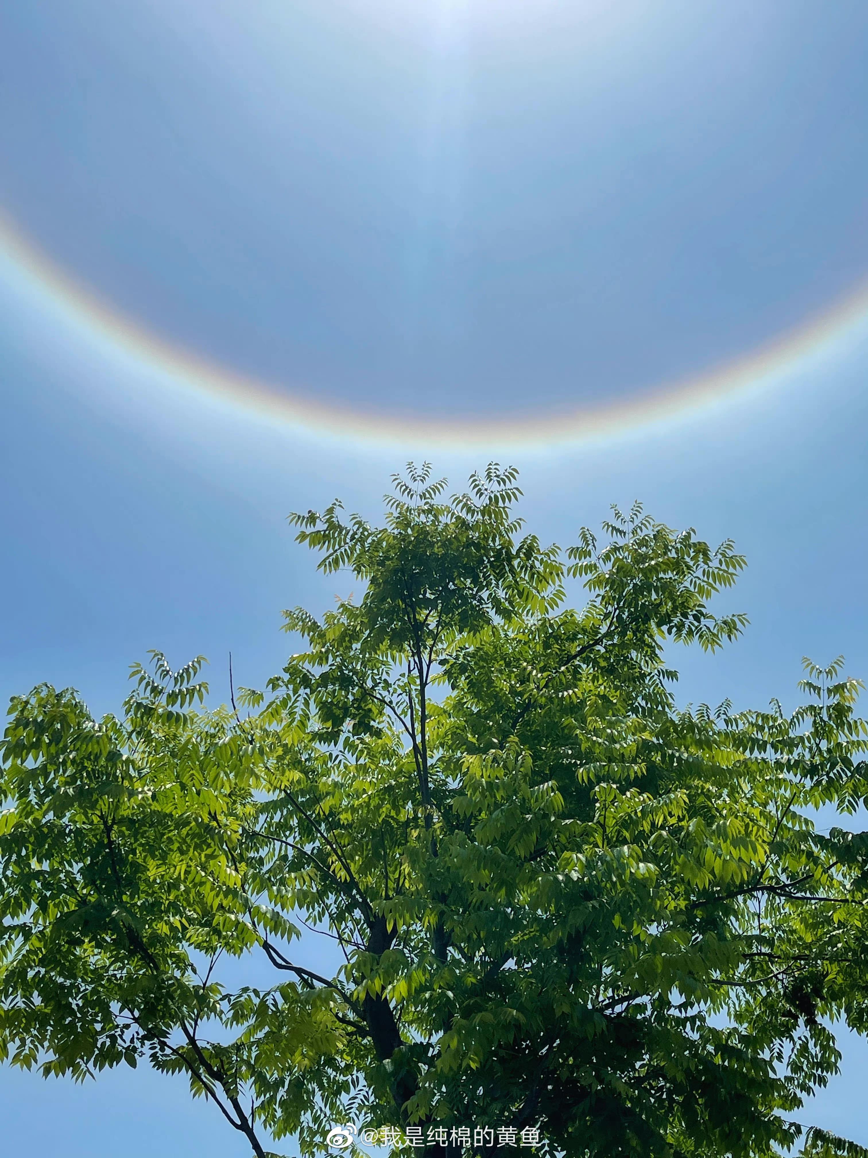 太阳大全真实照片图片