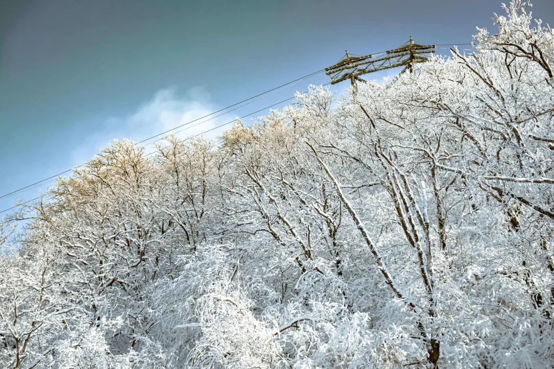 纵享雪场狂欢!长春两大滑雪场正式开板!