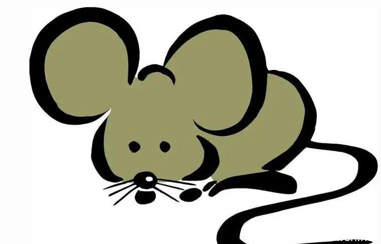 72属鼠本命年幸运颜色 什么颜色最旺